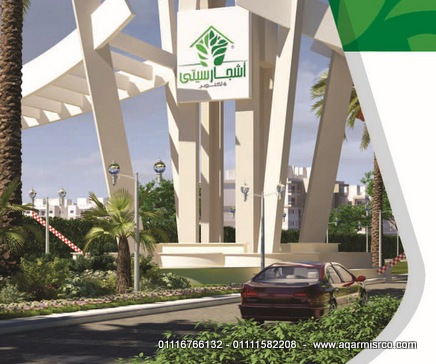 Ashgar City 6 October